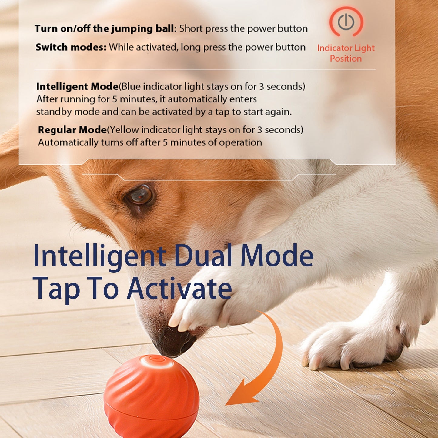 Interactive Bouncing Ball